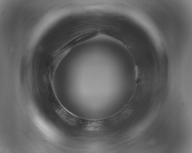 X0000081300382200701111431