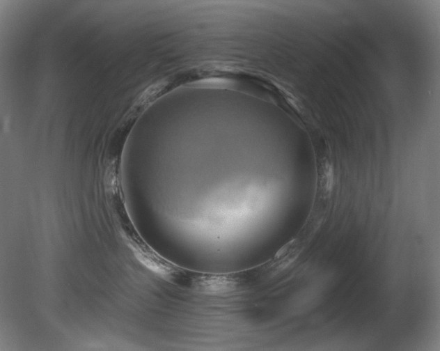 X0000081300383200701111431