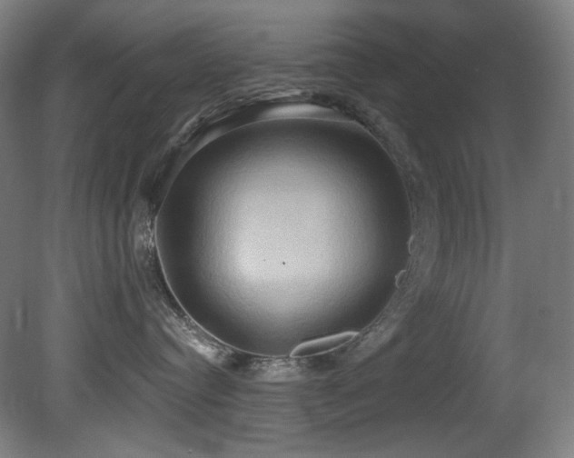 X0000081300384200701111431