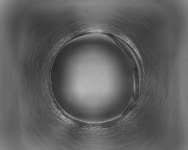 X0000081300385200701111430