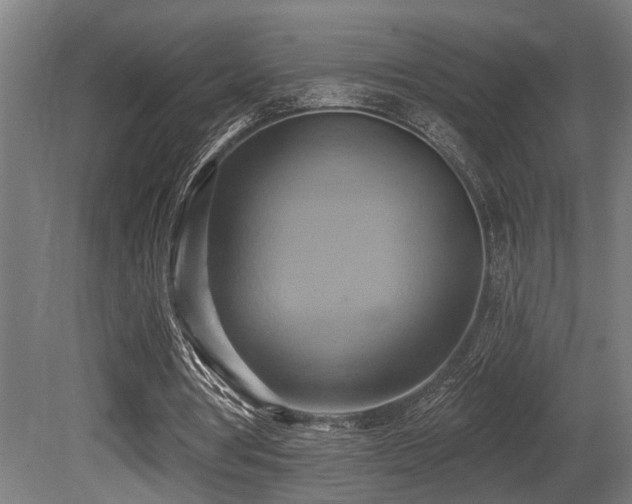 X0000081300386200701111430