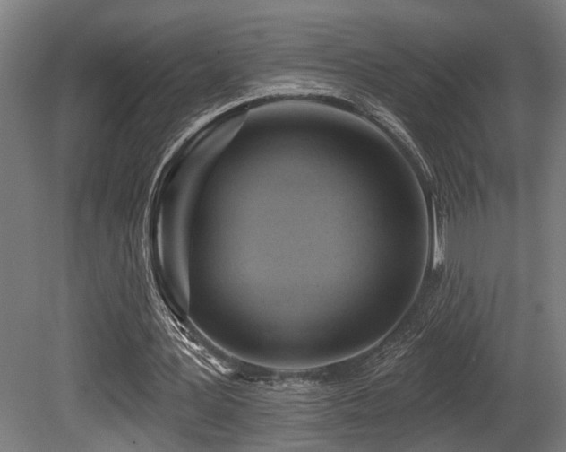X0000081300387200701111430