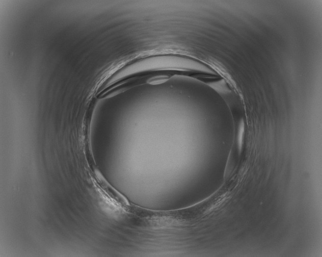 X0000081300389200701111430