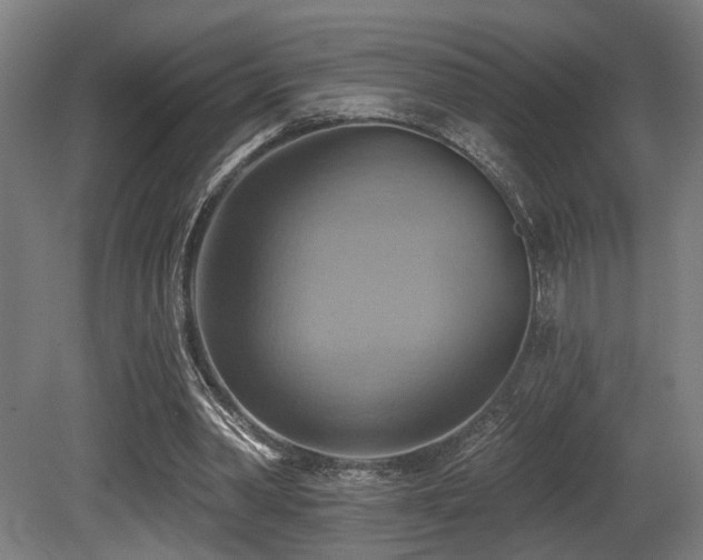 X0000081300390200701111430