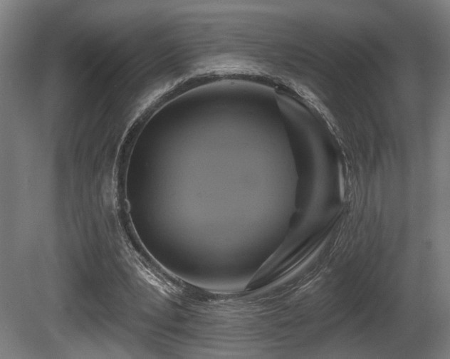 X0000081300391200701111430