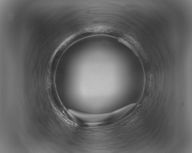 X0000081300392200701111430