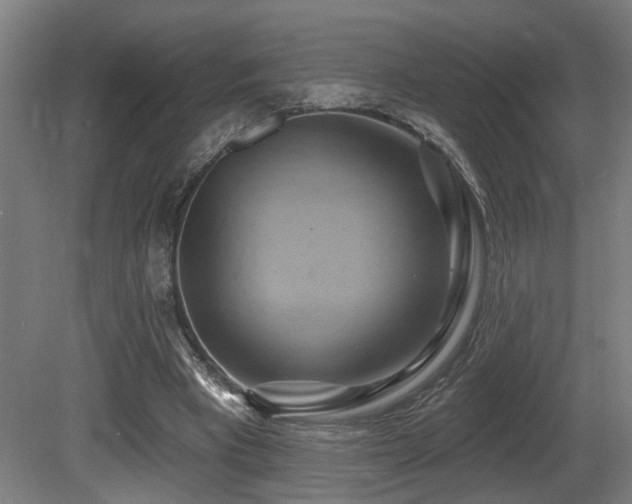 X0000081300393200701111430