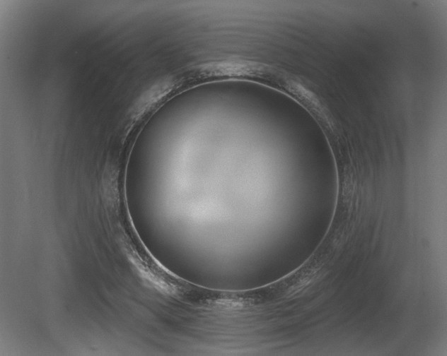X0000081300394200701111430