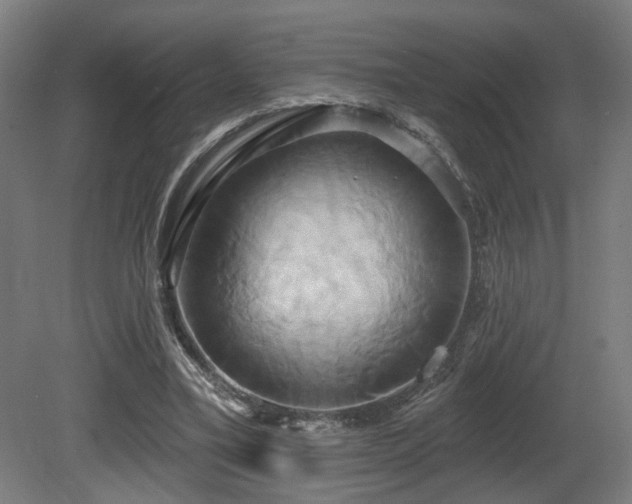 X0000081300395200701111430