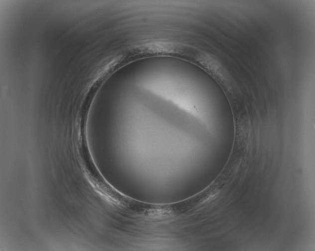X0000081300398200701111430