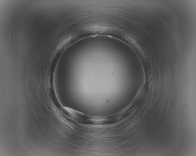 X0000081300399200701111430