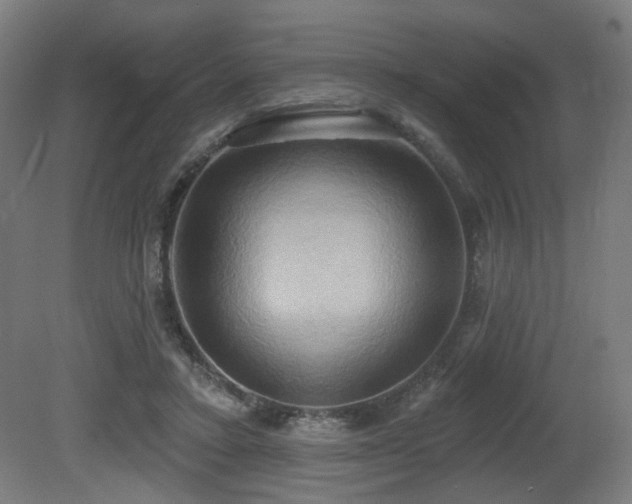 X0000081300403200701111430