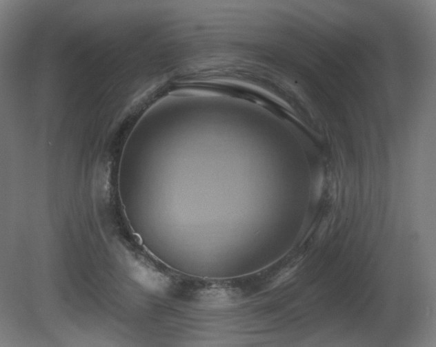 X0000081300404200701111430
