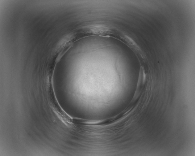 X0000081300405200701111430