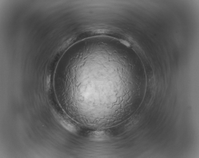 X0000081300406200701111430