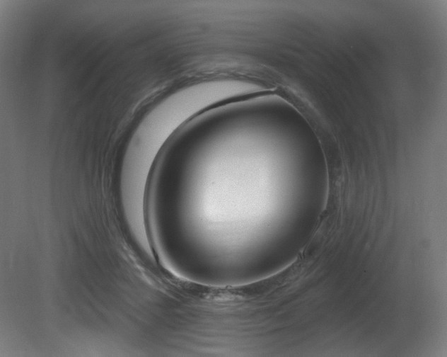 X0000081300407200701111430