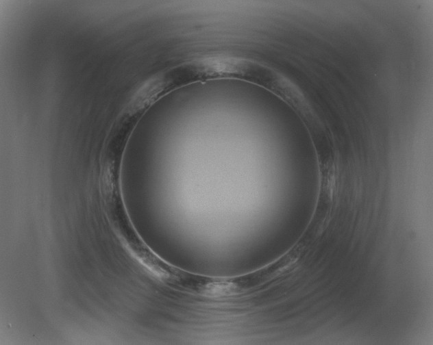 X0000081300410200701111430
