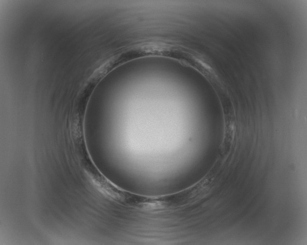 X0000081300411200701111430