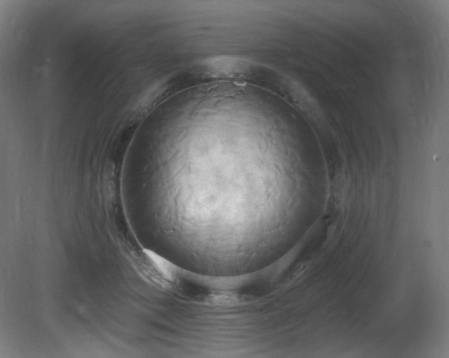 X0000081300413200701111430