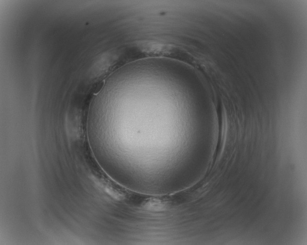 X0000081300416200701111430