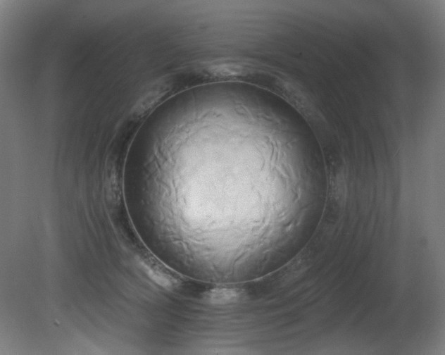X0000081300418200701111430