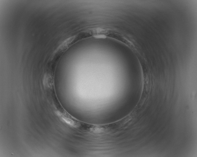 X0000081300419200701111430