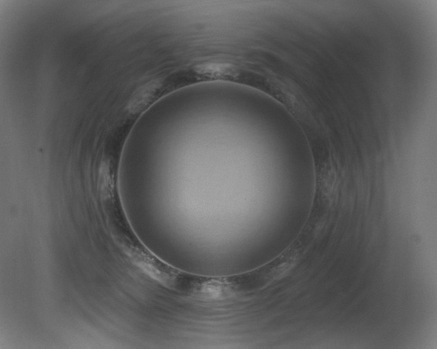 X0000081300420200701111430