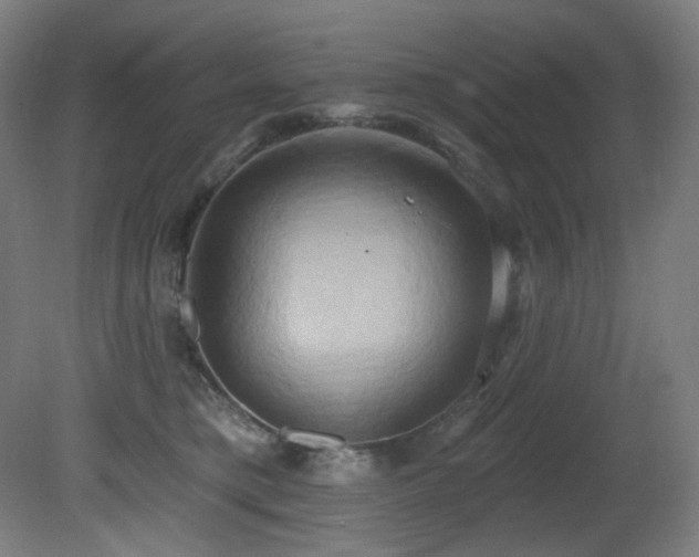 X0000081300421200701111430