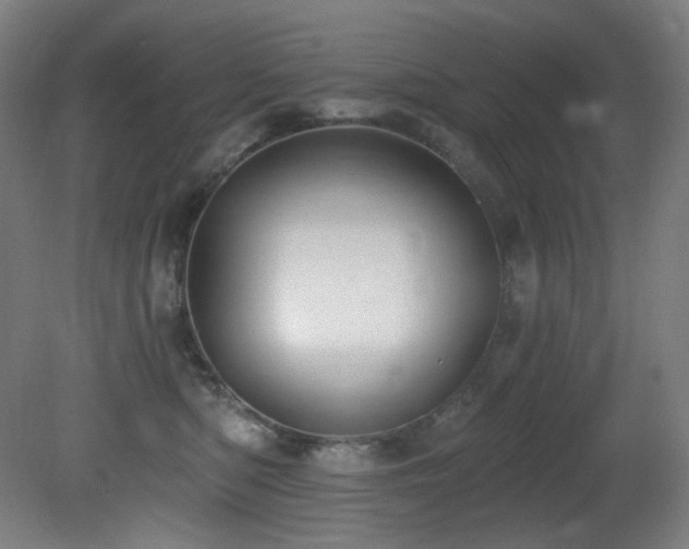 X0000081300422200701111429