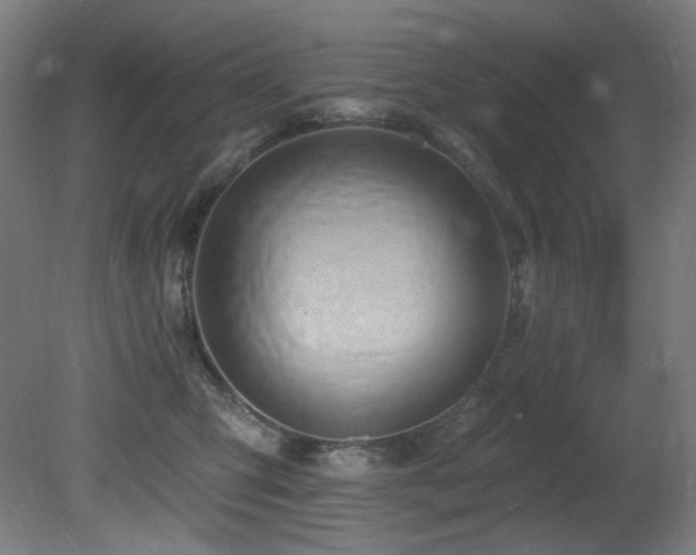 X0000081300423200701111429