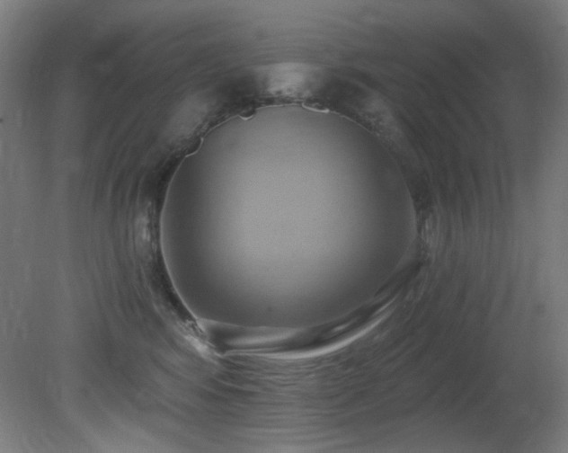 X0000081300424200701111429