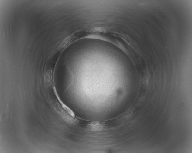 X0000081300425200701111429