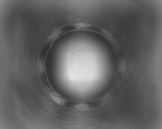 X0000081300426200701111429