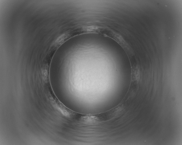 X0000081300427200701111429