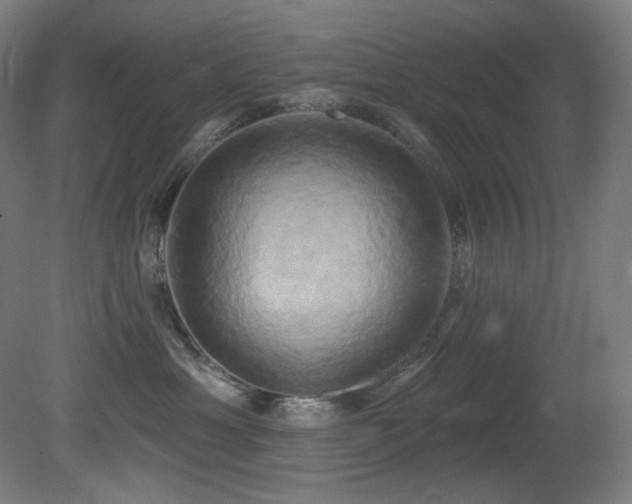 X0000081300429200701111429