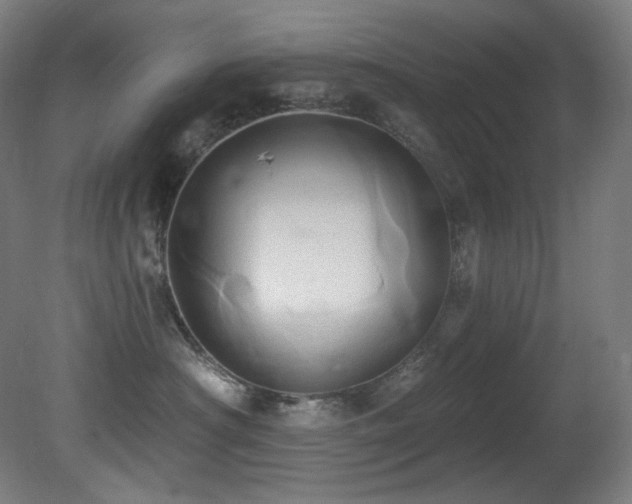 X0000081300430200701111429