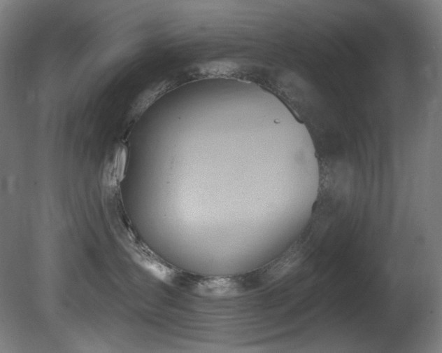 X0000081300431200701111429