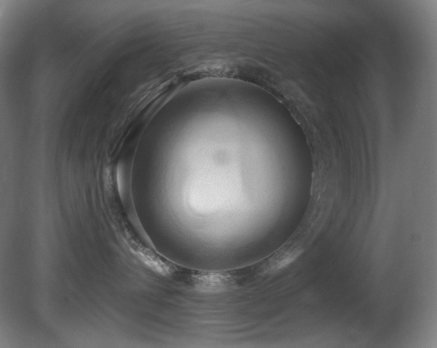 X0000081300432200701111429