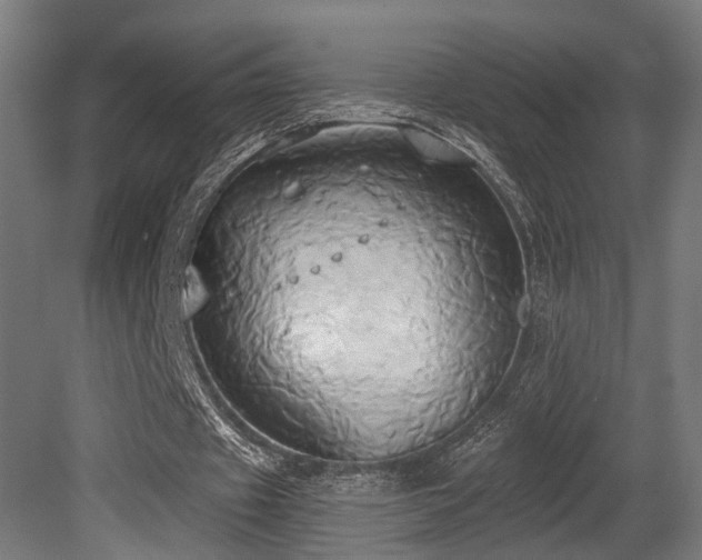 X0000081300433200701111429
