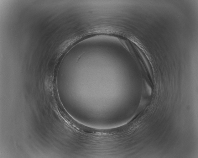 X0000081300434200701111429