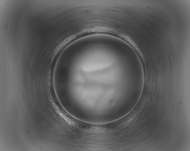 X0000081300437200701111429