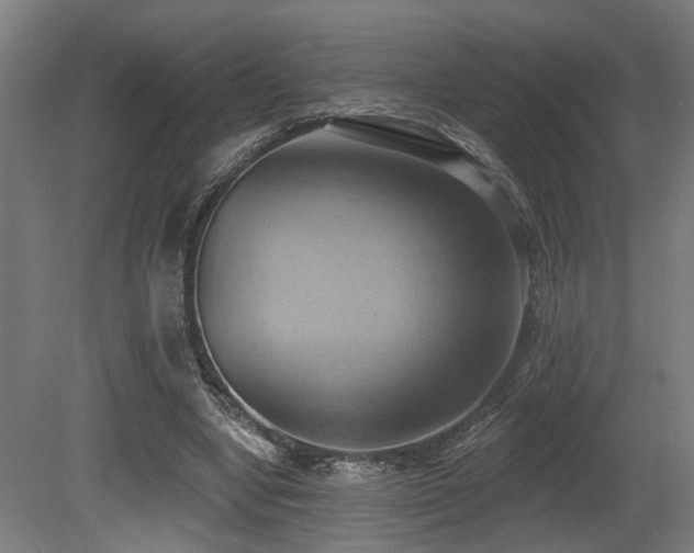 X0000081300442200701111429