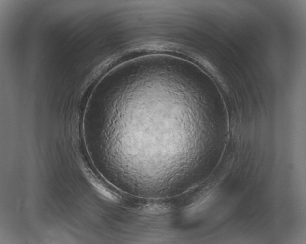 X0000081300445200701111429