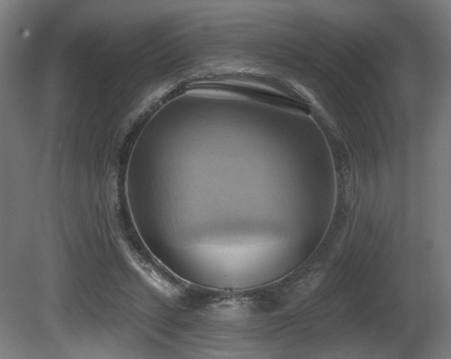 X0000081300447200701111429