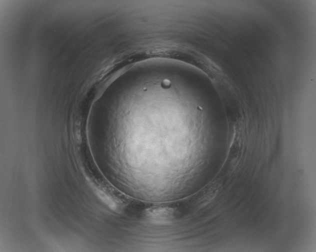 X0000081300452200701111429