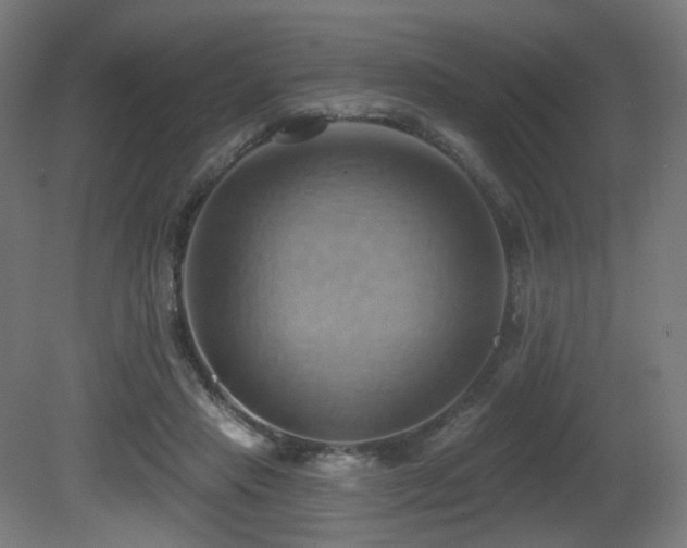 X0000081300453200701111429