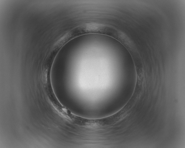 X0000081300454200701111429