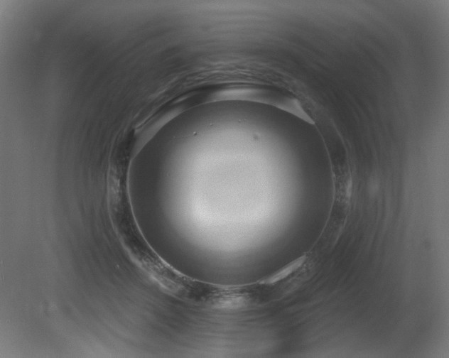X0000081300456200701111429