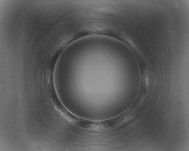 X0000081300458200701111429