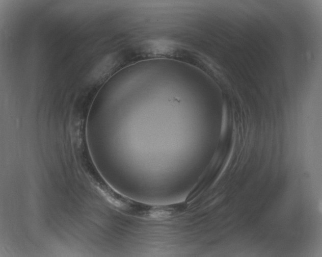 X0000081300462200701111429